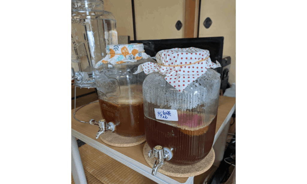 ALOコンブチャ（KOMBUCHA）講師になった理由を教えてください
